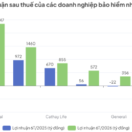Doanh thu bán mới vẫn suy giảm, nhiều hãng nhân thọ báo lợi nhuận tăng mạnh nửa đầu năm nhờ nguồn thu tài chính hoặc giảm chi phí bán hàng.