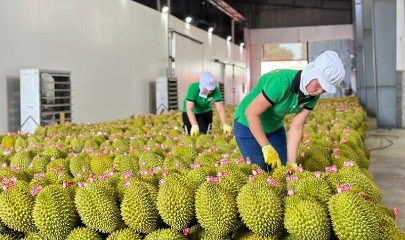 VnBusiness