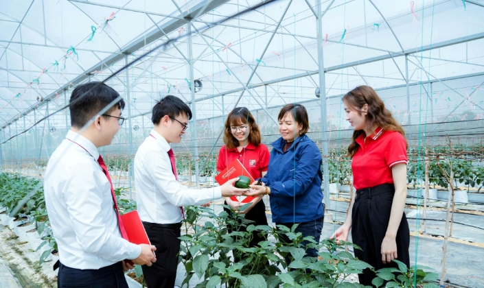 Dòng vốn Agribank bồi đắp động lực phát triển từ khu vực “Tam nông”