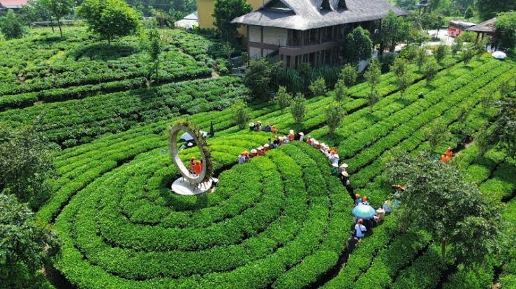 Ngày càng có nhiều du khách lựa chọn kỳ nghỉ tại các trang trại, nông trại.