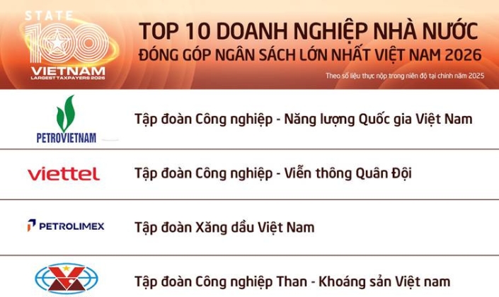 Có gì khác biệt giữa doanh nghiệp nhà nước và tư nhân nộp ngân sách lớn nhất?