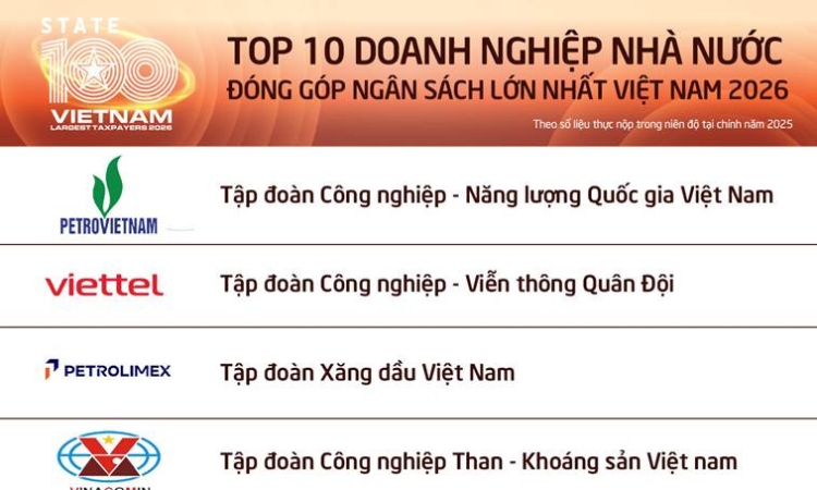 Có gì khác biệt giữa doanh nghiệp nhà nước và tư nhân nộp ngân sách lớn nhất?