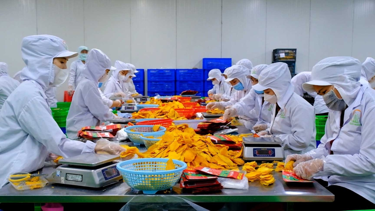 Nhiều doanh nghiệp xuất khẩu khẳng định, dư địa cho ngành hàng nông sản, thực phẩm Việt Nam còn rất lớn.