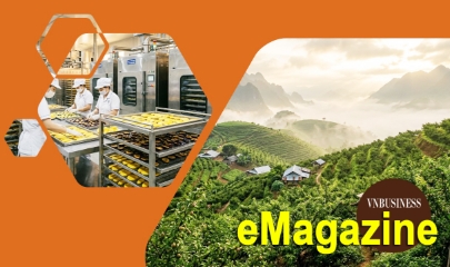HTX liên kết, tạo sinh kế bền vững