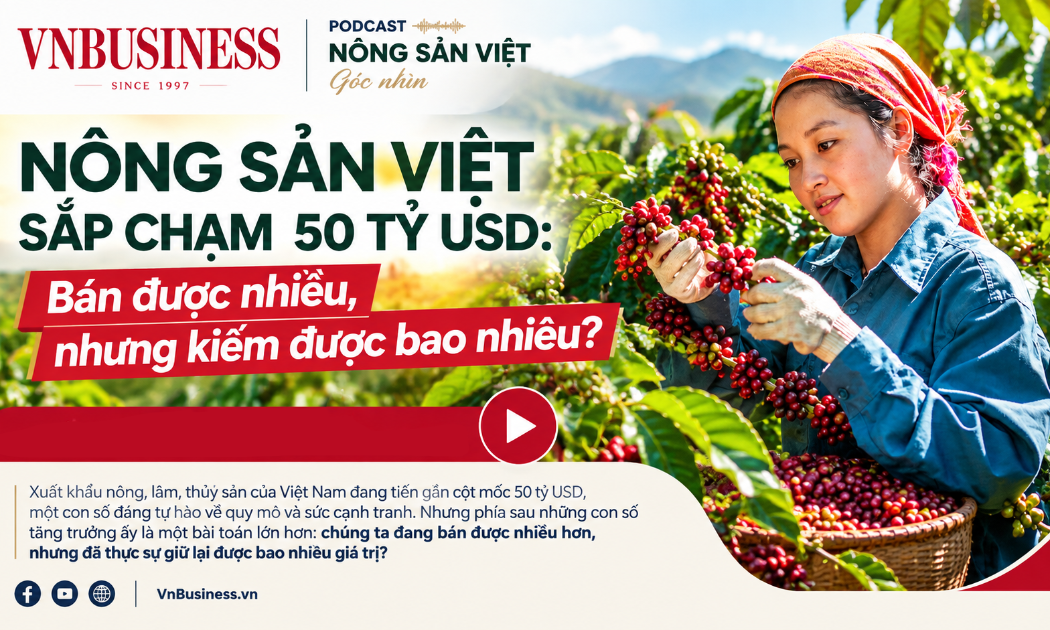 VnBusiness