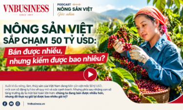 VnBusiness