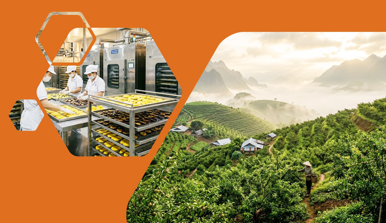 Dây chuyền ứng dụng máy móc chế biến hoa quả công nghệ cao
