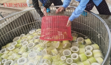Doanh nông thực chiến: Đưa sản vật bản địa vào chuỗi giá trị