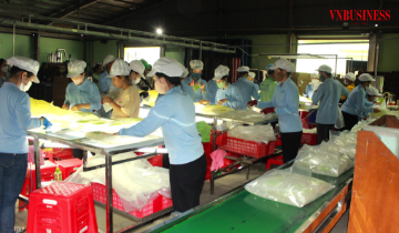 Doanh nghiệp vào mùa cao điểm: Dòng vốn không thể chậm một nhịp