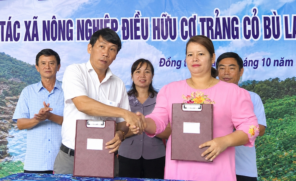 Chị Thị Khưi (người mặc áo hồng) chủ động kết nối thị trường, nâng giá trị hạt điều và mở thêm cơ hội cho người dân địa phương.