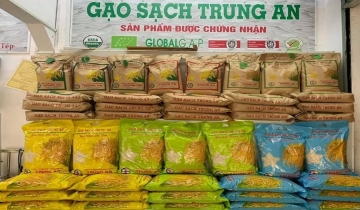 Trung An chưa thoát ‘vòng xoáy’ nợ vay: Doanh thu lao dốc, lợi nhuận vẫn âm