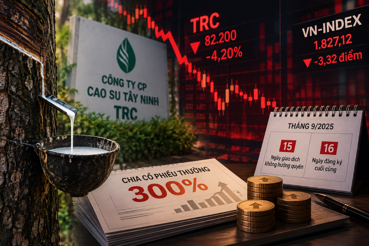 Một cổ phiếu sắp thưởng tỷ lệ 300% bất ngờ bị bán mạnh, giảm phiên thứ 4 liên tiếp