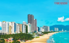 Condotel giải bài toán chim sợ cành cong
