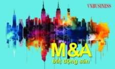 Từ bao giờ khối nội thành người cầm lái trên đường đua M&A bất động sản?