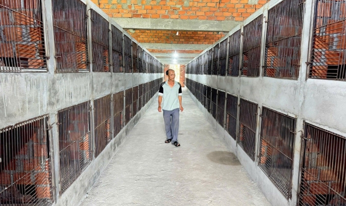 Động lực sinh kế từ chuyển đổi nghề và liên kết chuỗi tại Thiện Tín