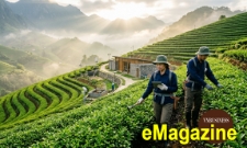 HTX đổi vận nhờ đổi mới tư duy sản xuất và chia sẻ nguồn lực