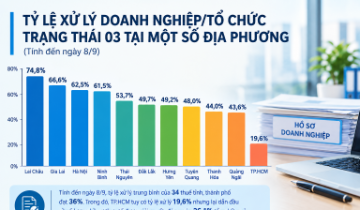 Cục Thuế hỏa tốc gỡ vướng, không để doanh nghiệp phát sinh thêm lệ phí môn bài