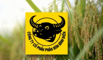 Bình Điền hai lần bị xử phạt thuế, dòng tiền âm và nợ ngắn hạn tăng mạnh
