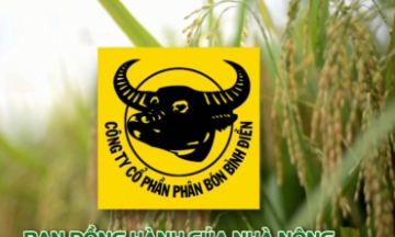 Công ty Cổ phần phân bón Bình Điền nổi tiếng với thương hiệu phân bón Đầu Trâu.