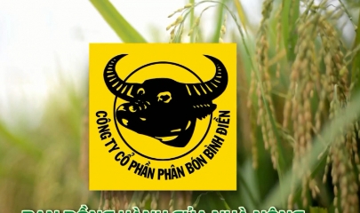 Công ty Cổ phần phân bón Bình Điền nổi tiếng với thương hiệu phân bón Đầu Trâu.