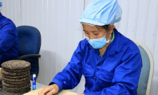 Sản phẩm bánh trà được làm từ búp chè Shan tuyết cổ thụ Tà Xùa tại Công ty chè và đặc sản Tây Bắc.