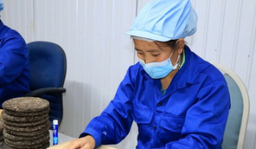 Nâng tầm đặc sản vùng cao, tạo sinh kế bền vững cho đồng bào