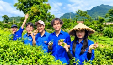 Từ sinh kế nhỏ lẻ đến làm ăn bài bản ở vùng đồng bào dân tộc miền núi