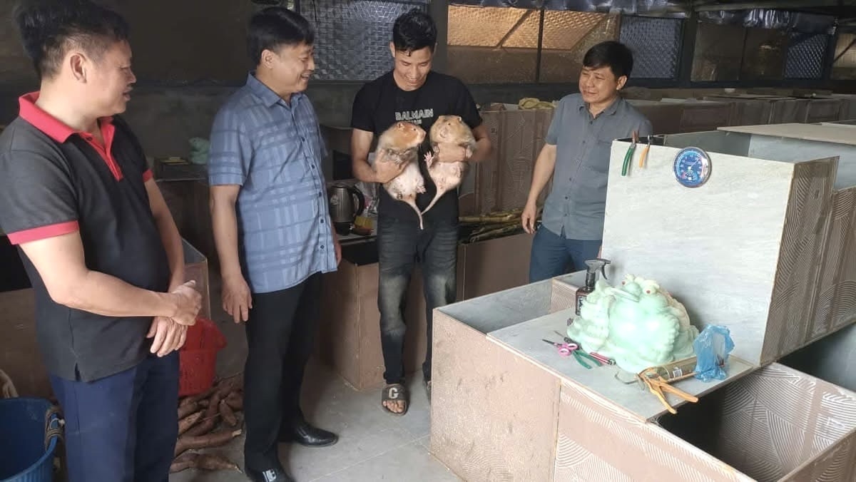 Mô hình chăn nuôi dúi của gia đình anh Lý Láo Sử, thôn Ná Nàm - Ảnh: UBND xã Bát Xát