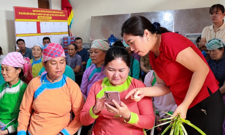 Từ nương rẫy lên sàn số, chiếc điện thoại đổi cách làm ăn ở vùng cao
