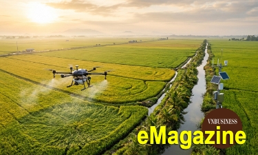 HTX đưa khoa học vào cánh đồng lớn, kiến tạo chuỗi giá trị mới
