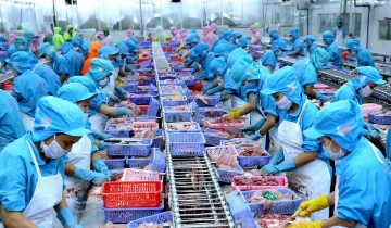 Xuất khẩu nông, lâm, thủy sản hướng tới mục tiêu 74 tỷ USD