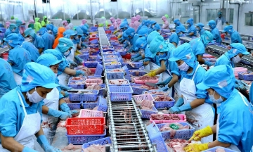 Những tháng cuối năm, ngành nông nghiệp cần tập trung phát triển sản xuất, nâng cao giá trị gia tăng, mở rộng thị trường và thúc đẩy xuất khẩu.