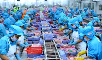 Những tháng cuối năm, ngành nông nghiệp cần tập trung phát triển sản xuất, nâng cao giá trị gia tăng, mở rộng thị trường và thúc đẩy xuất khẩu.