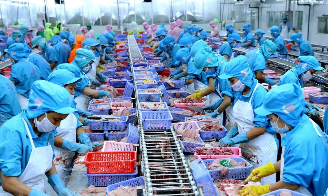 Những tháng cuối năm, ngành nông nghiệp cần tập trung phát triển sản xuất, nâng cao giá trị gia tăng, mở rộng thị trường và thúc đẩy xuất khẩu.