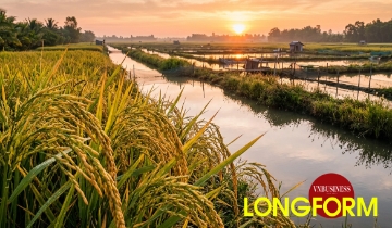 HTX gom nông dân, kết nối doanh nghiệp, nâng giá trị nông sản