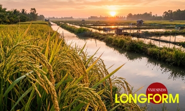 HTX gom nông dân, kết nối doanh nghiệp, nâng giá trị nông sản
