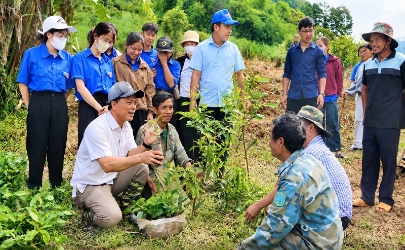 Để sinh kế không dừng lại khi chính sách hỗ trợ kết thúc