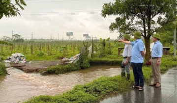 Mưa lớn kéo dài đe dọa sản xuất kinh doanh của HTX