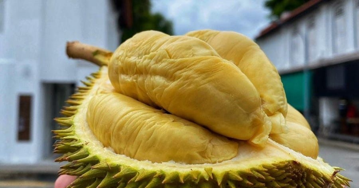 Sầu riêng Việt bị siết kiểm soát, thêm cảnh báo dịch hại