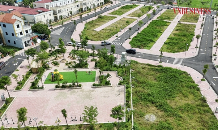 Đất đấu giá có thực sự ‘mất nhiệt’?