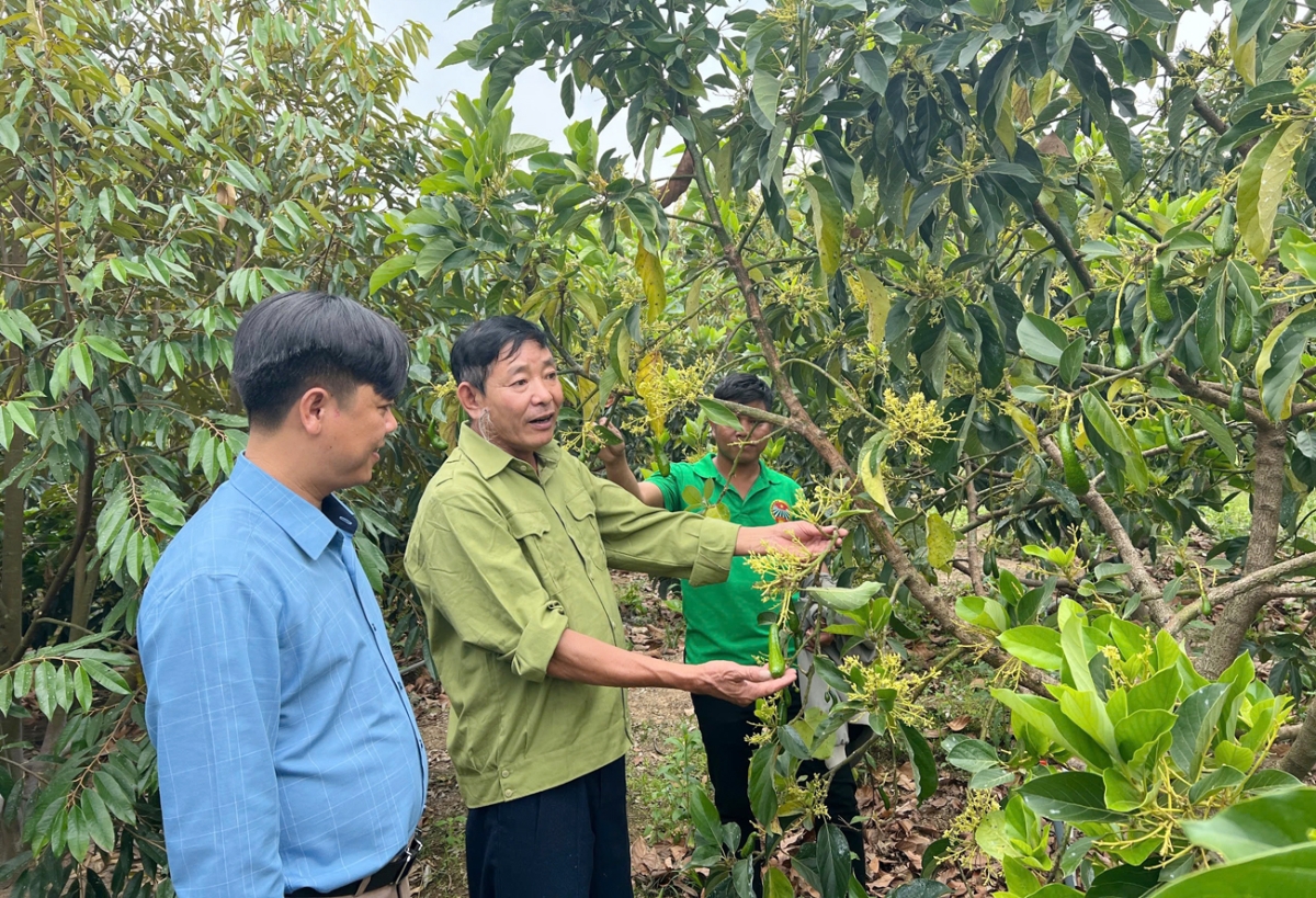 Người dân ở Quảng Ngãi được tiếp cận, tập huấn, hướng dẫn và tiếp cận với tư duy, phương thức sản xuất theo hướng hàng hóa và nâng cao chất lượng sản phẩm, hỗ trợ về kỹ thuật...