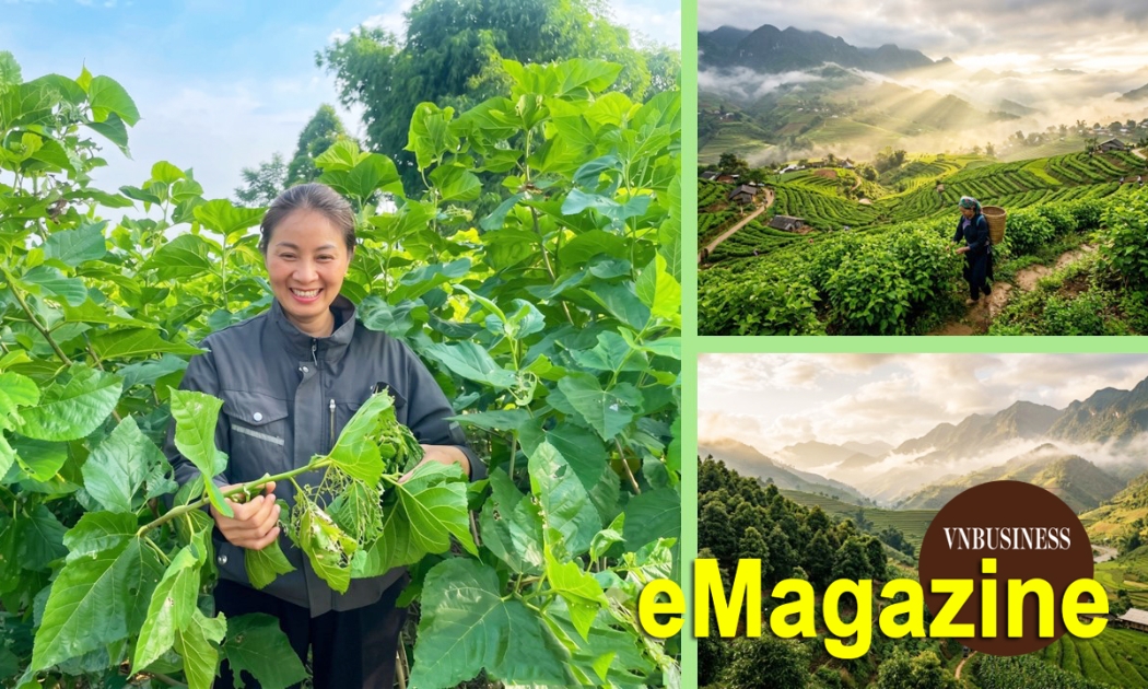Nữ thuyền trưởng HTX năng động và triết lý thành công không đo bằng tiền