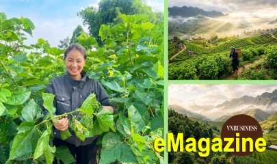 Nữ thuyền trưởng HTX năng động và triết lý thành công không đo bằng tiền