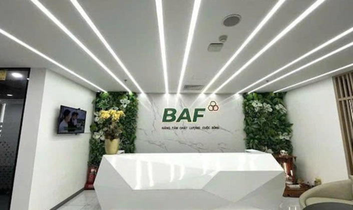 BAF thêm lãnh đạo mới, lập công ty 100 tỷ khi áp lực nợ vay và định giá cao