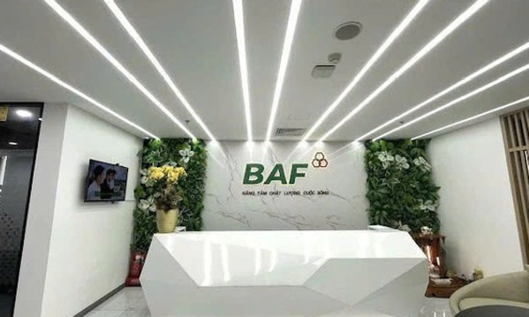 VnBusiness