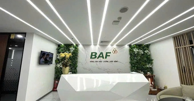 BAF ghi nhận áp lực nợ vay và định giá cao.