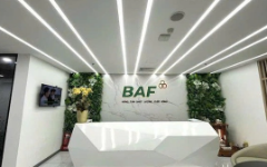 VnBusiness