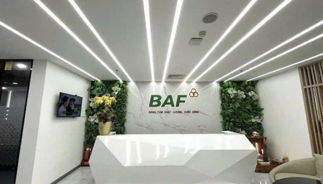 VnBusiness