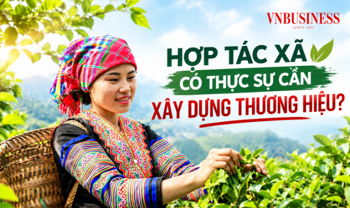 HTX có thực sự cần xây dựng thương hiệu?