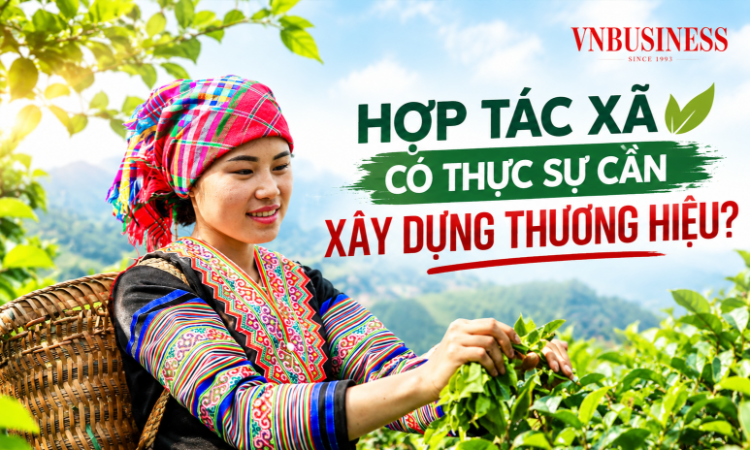HTX có thực sự cần xây dựng thương hiệu?